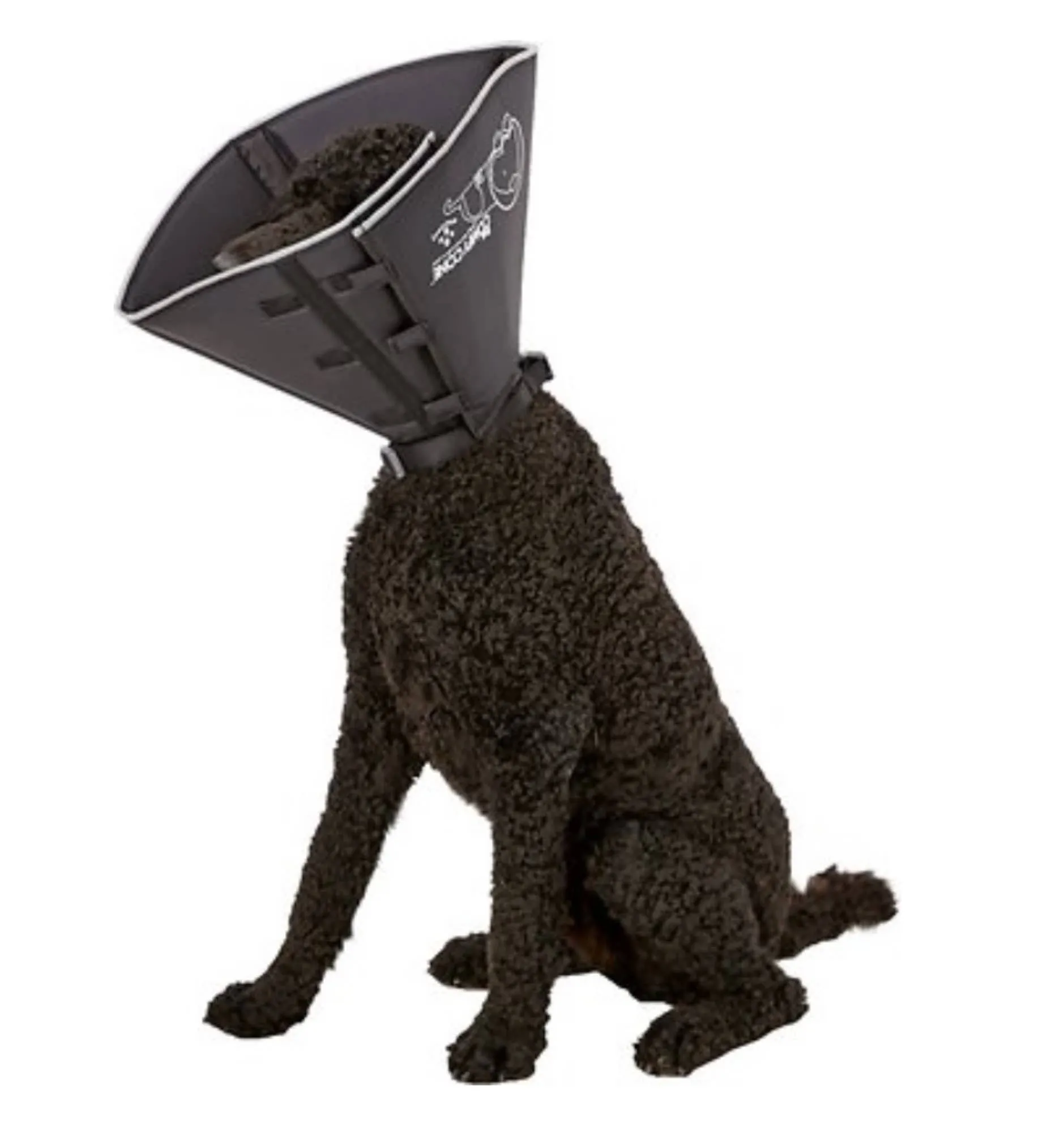 All Four Paws - The Original Comfy Cone