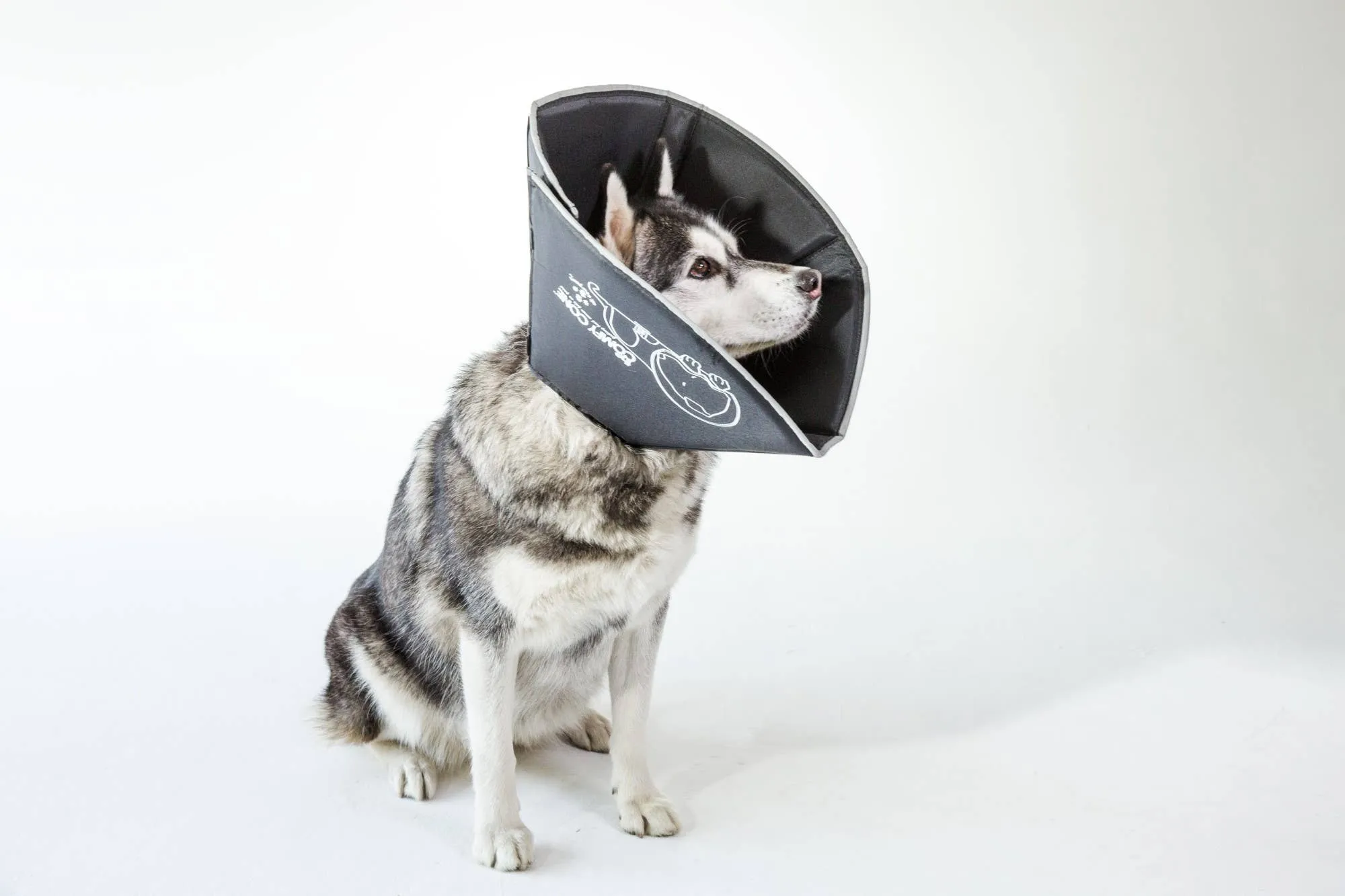 All Four Paws - The Original Comfy Cone