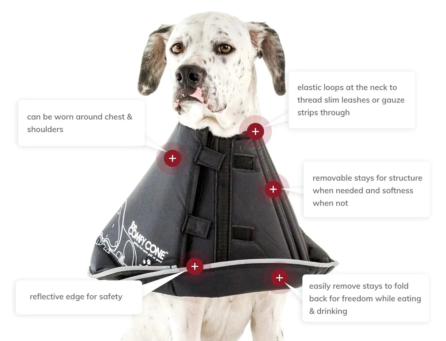 All Four Paws - The Original Comfy Cone