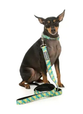 Bananarama Dog Lead