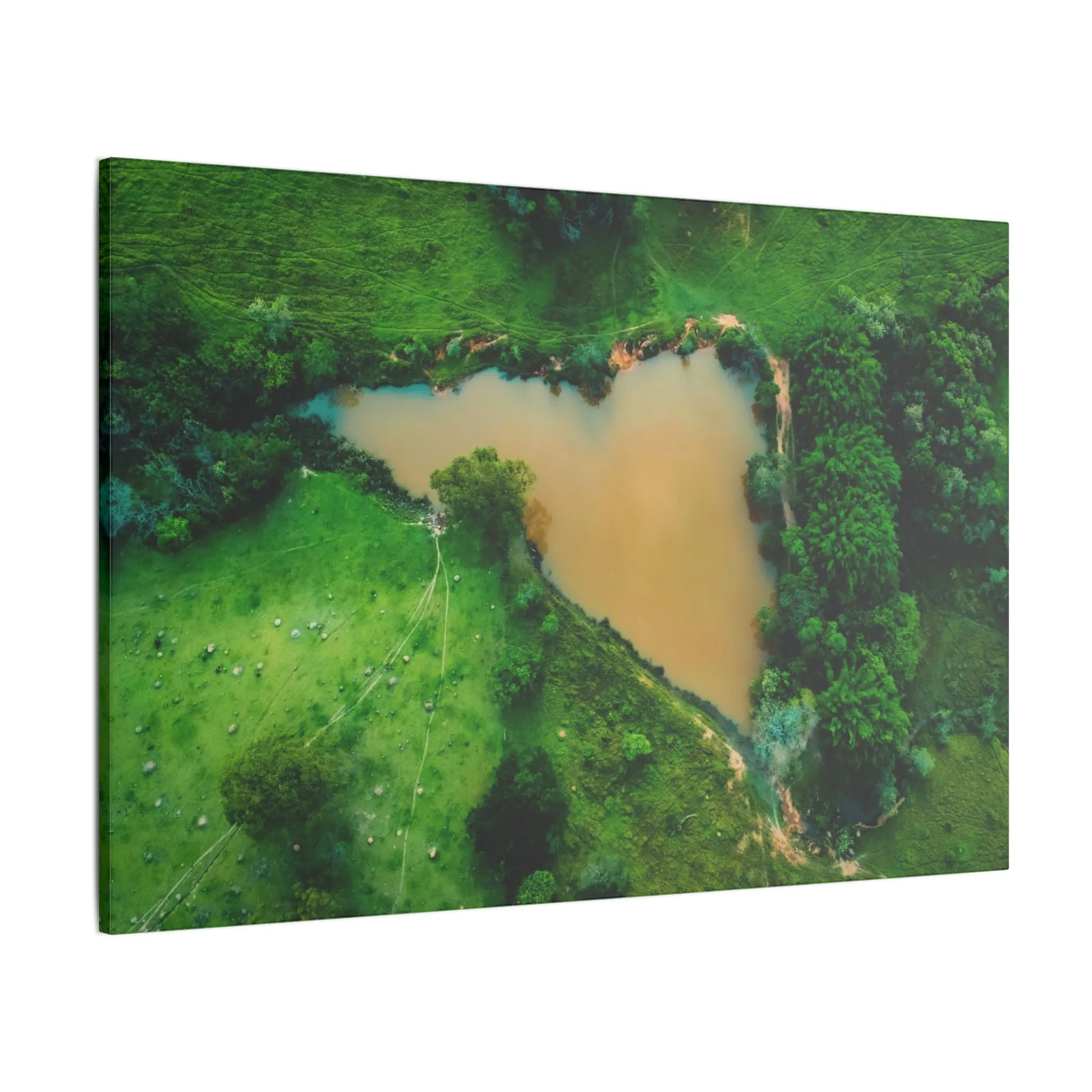 Brazil Love Canvas Print