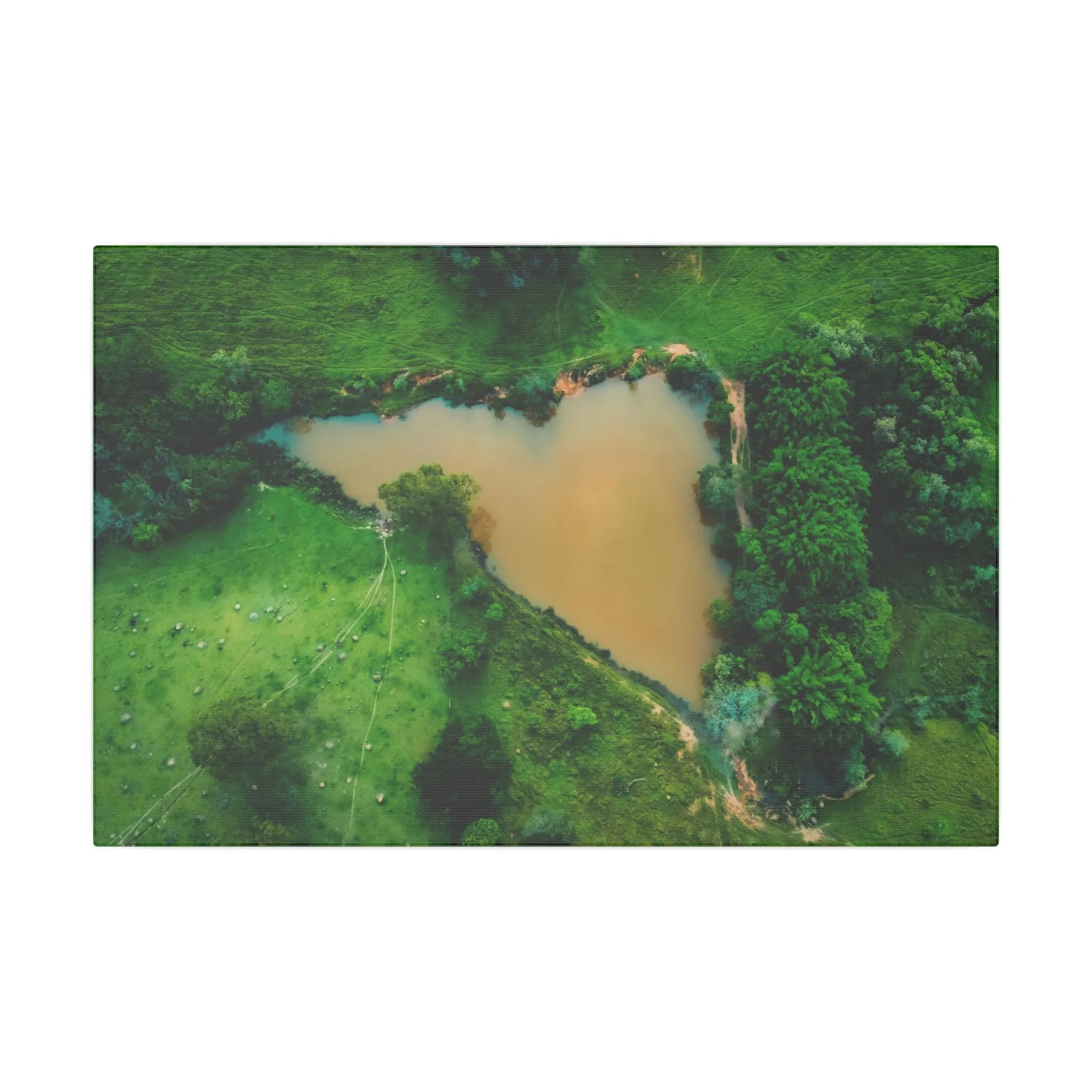 Brazil Love Canvas Print