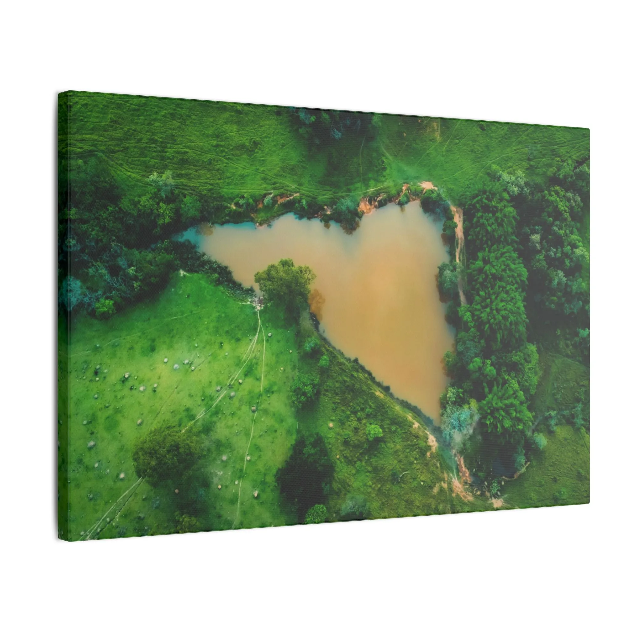 Brazil Love Canvas Print