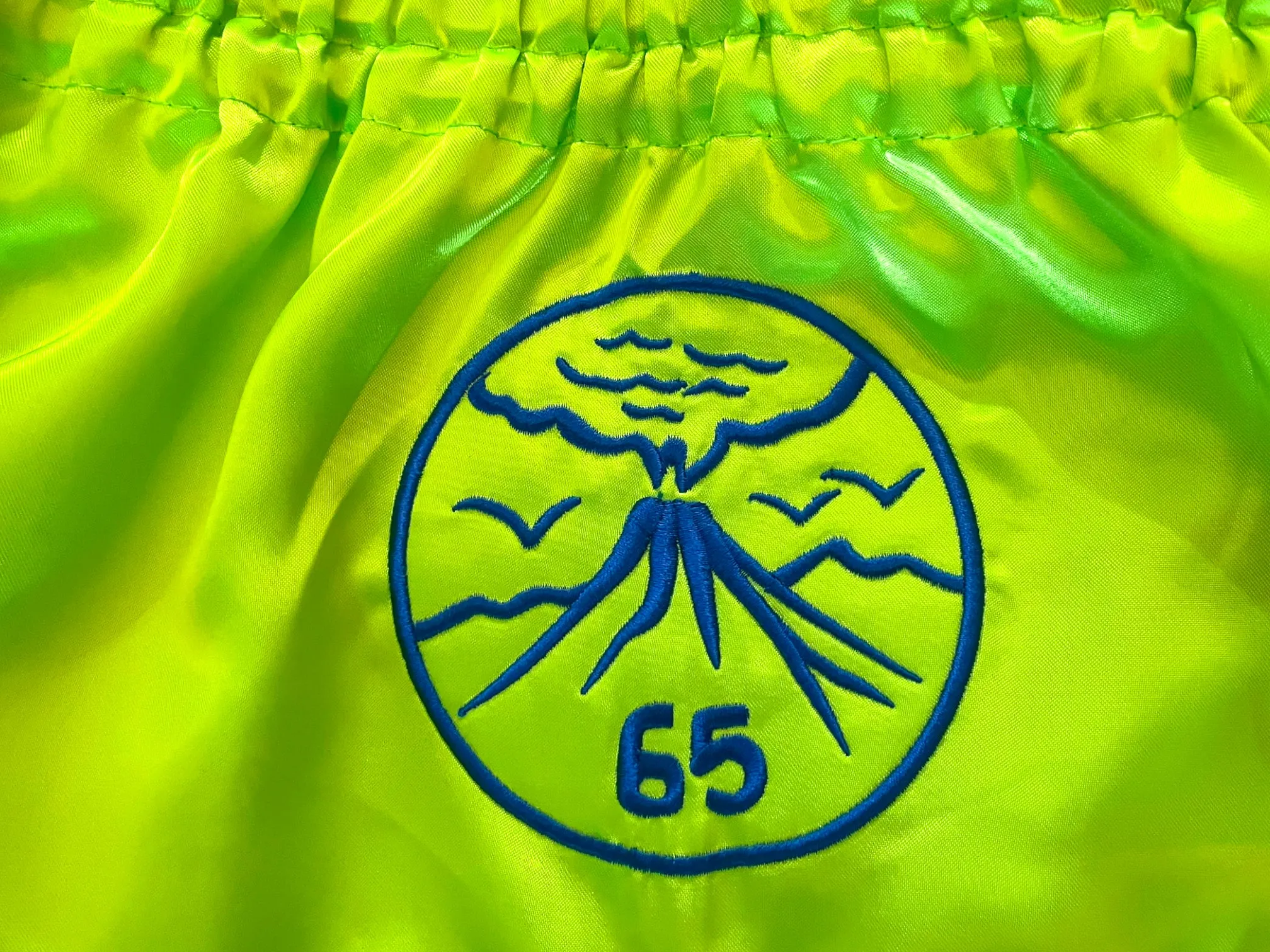 Chartreuse Dinosaur Muay Thai Shorts