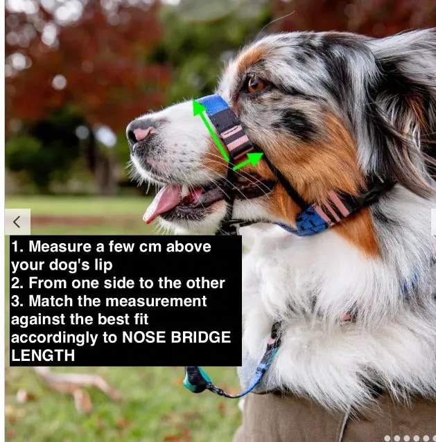 Chrome Halter   Safety Clip
