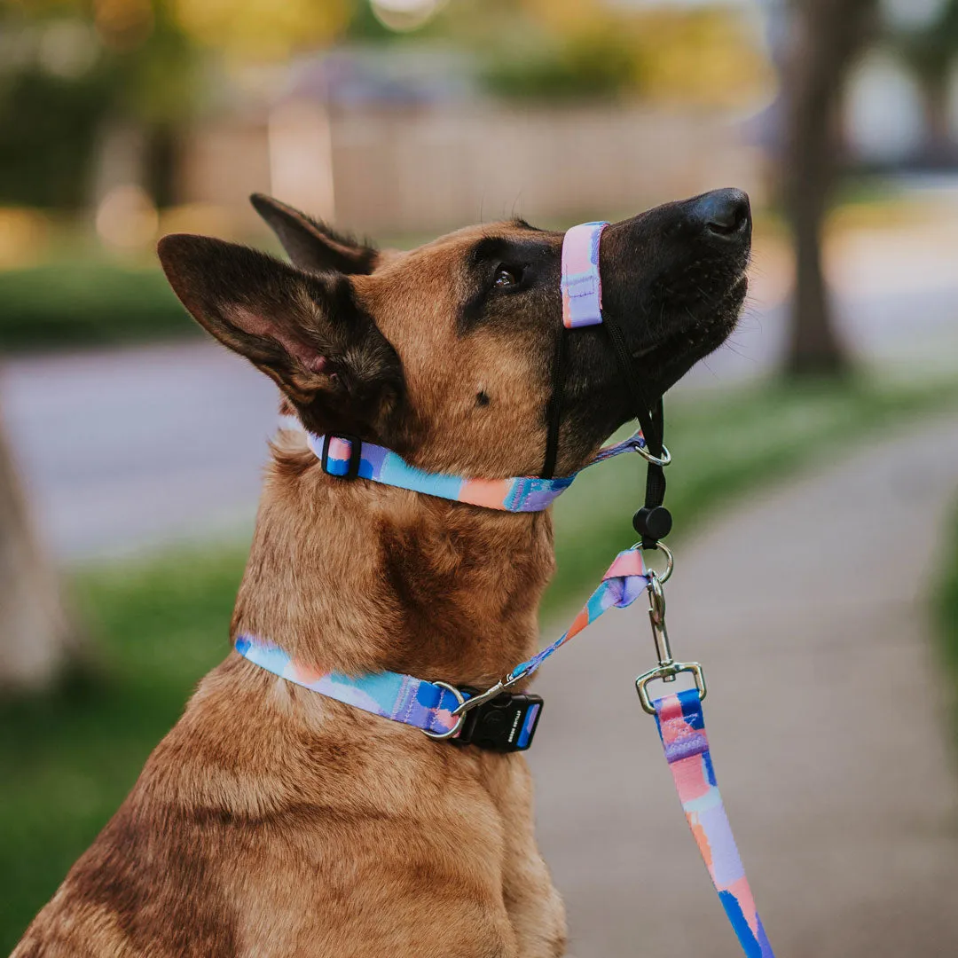 Chrome Halter   Safety Clip