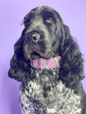 Customisable Name Collar - Glitter Pink