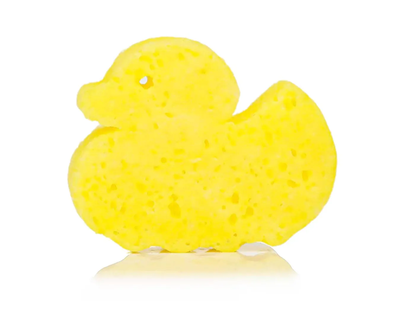 Danny Duck Spongelle