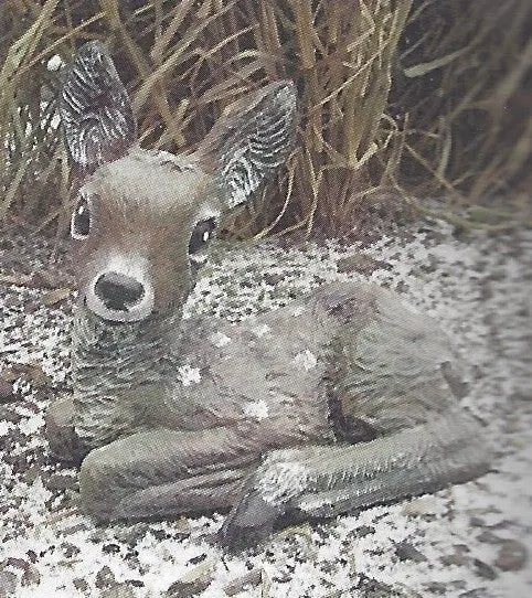 Deer - Laying Fawn