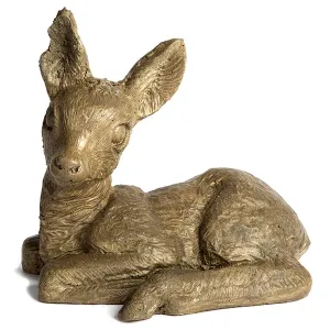 Deer - Laying Fawn
