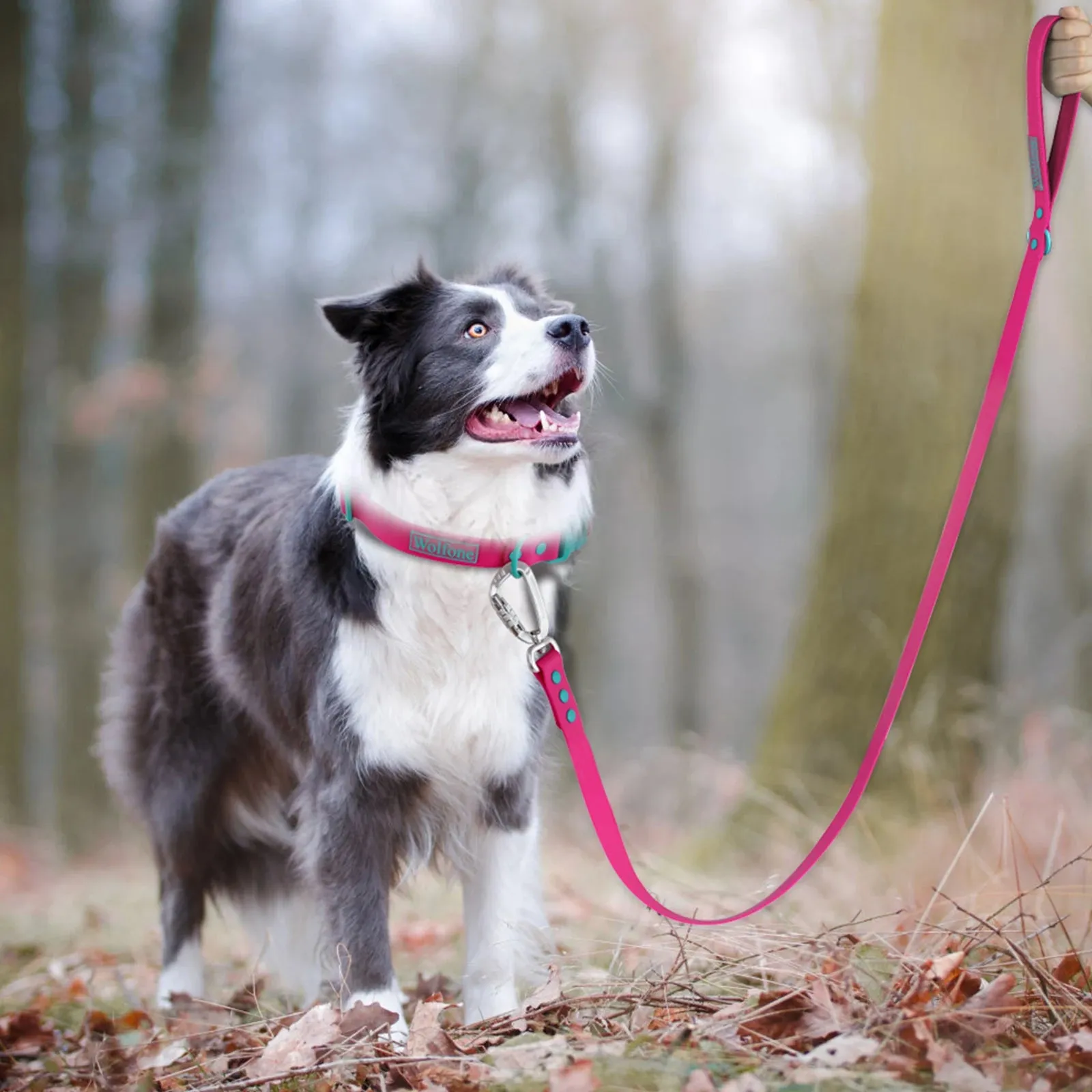 Dog Leash with Automated Hook