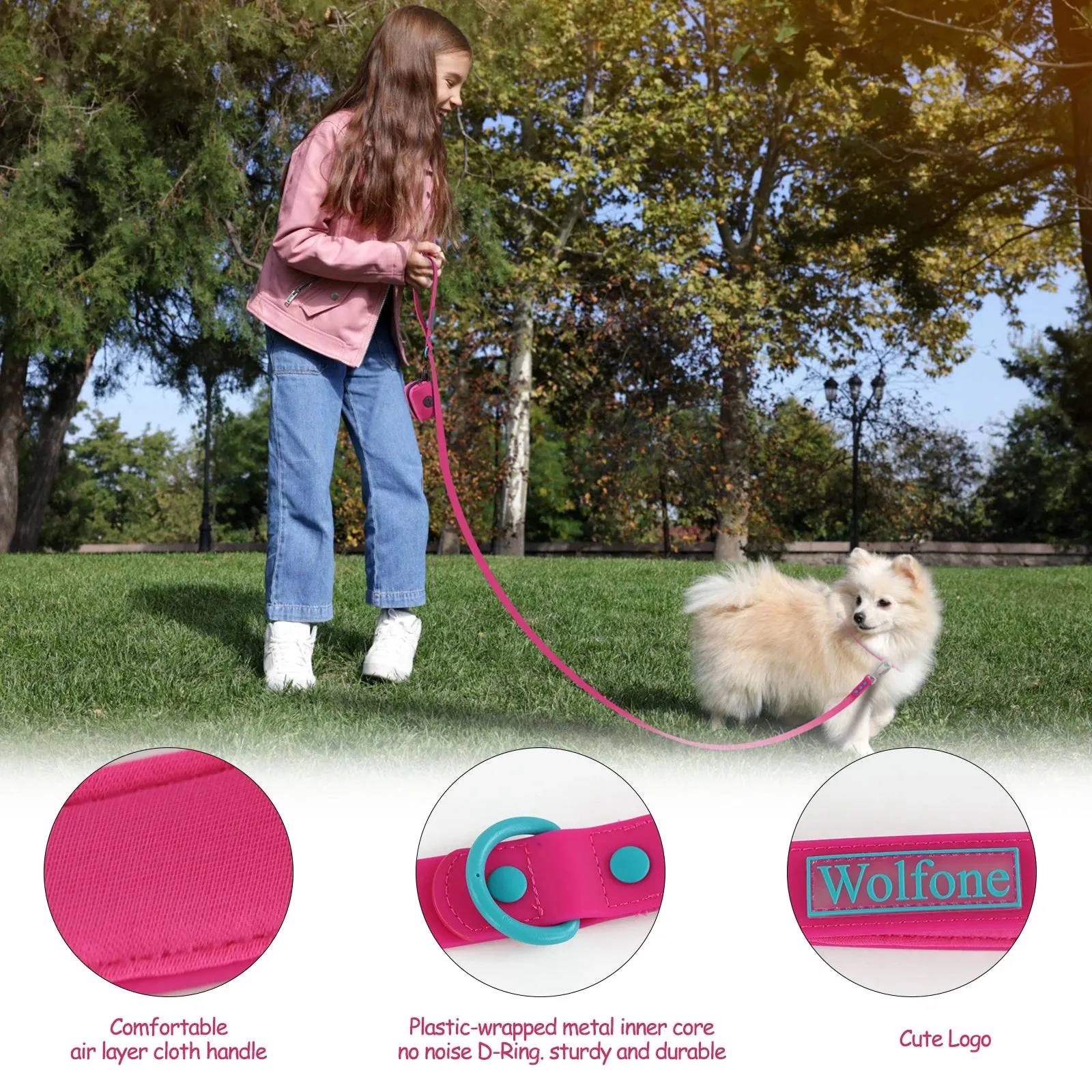 Dog Leash with Automated Hook