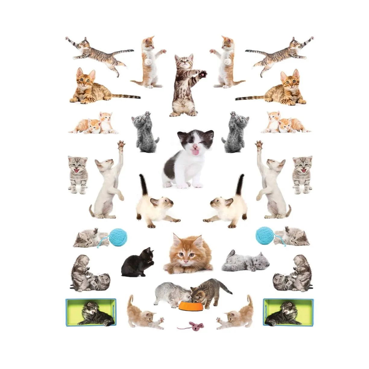 Eyelike Stickers: Kittens, Collection of 400 Adorable and Realistic, Reusable Stickers Book, Ages 4 
