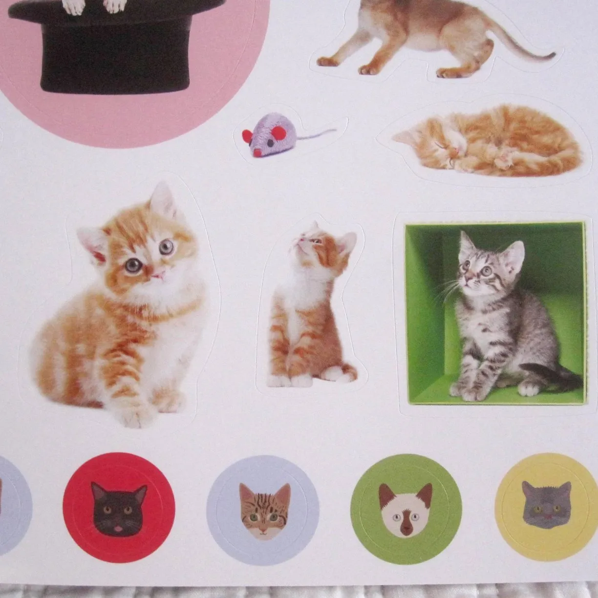 Eyelike Stickers: Kittens, Collection of 400 Adorable and Realistic, Reusable Stickers Book, Ages 4 