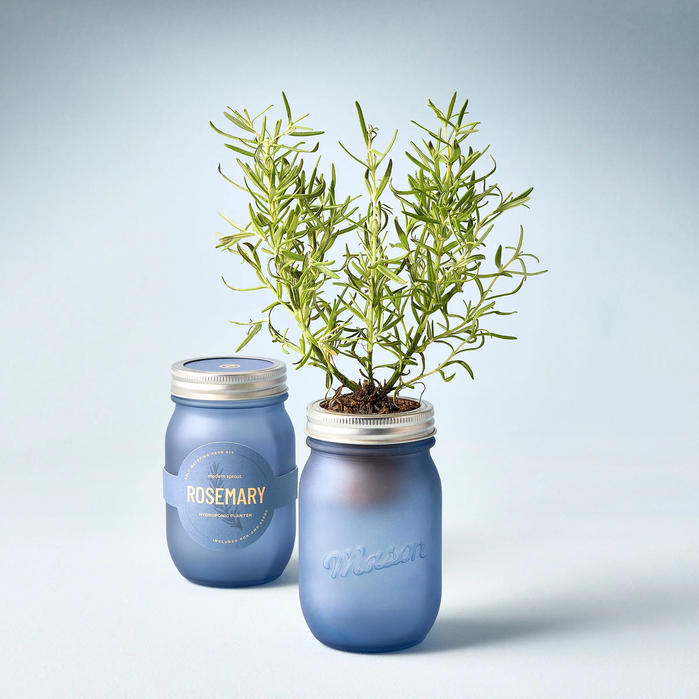 Garden Jar, Pints