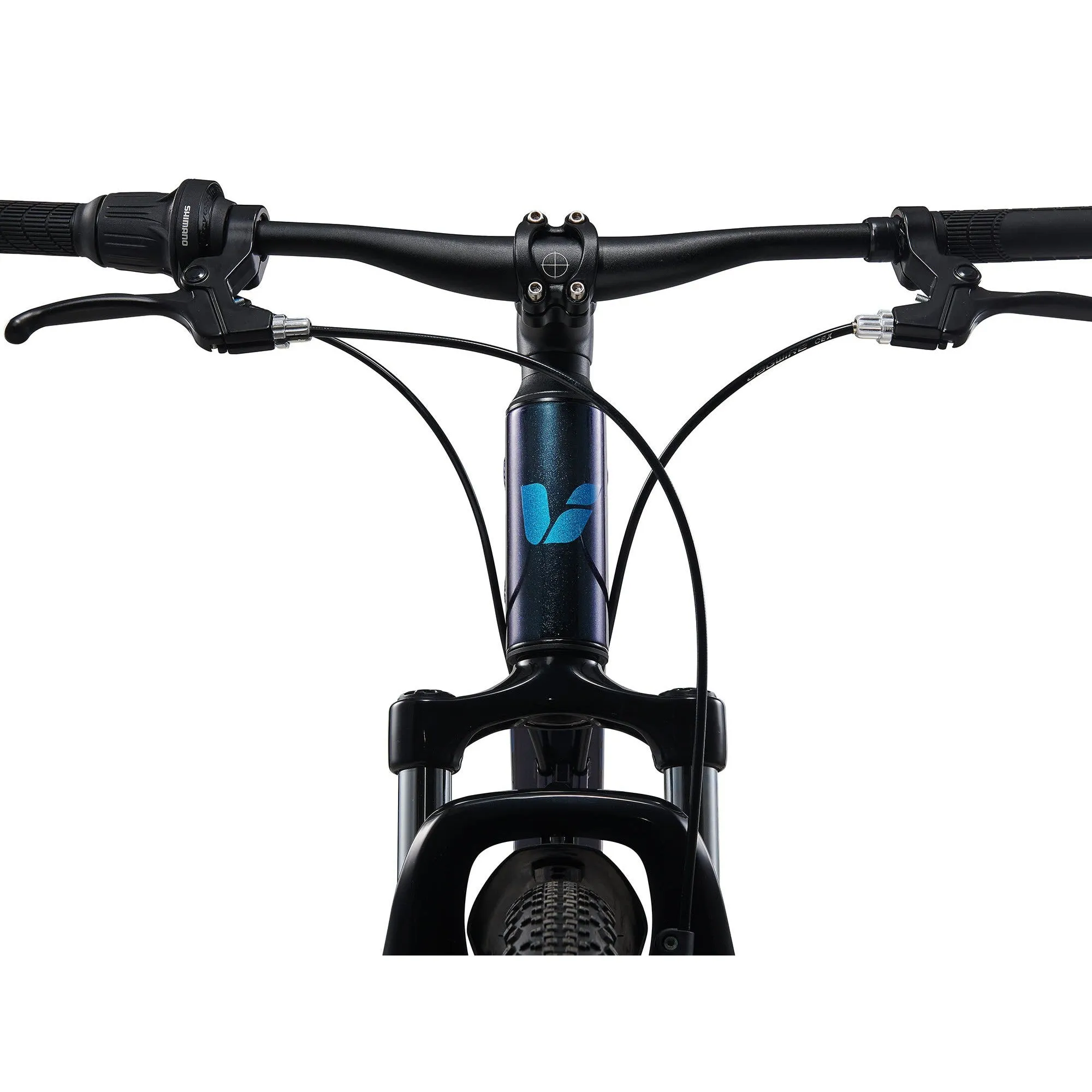 Liv 2025 Tempt 24 Disc Kids Bike