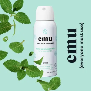 Mint Moisturizing Sanitizer Mist 2.2oz  - 24 Pack (Copy)