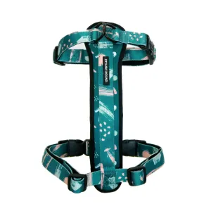 Nova Explorer Chest Plate