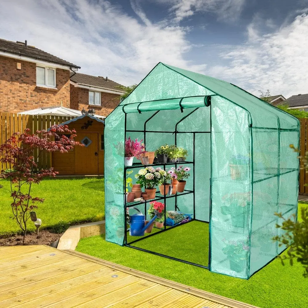 Outdoor Greenhouse Tent| 2-Tier Small Walk In Greenhouse For Garden