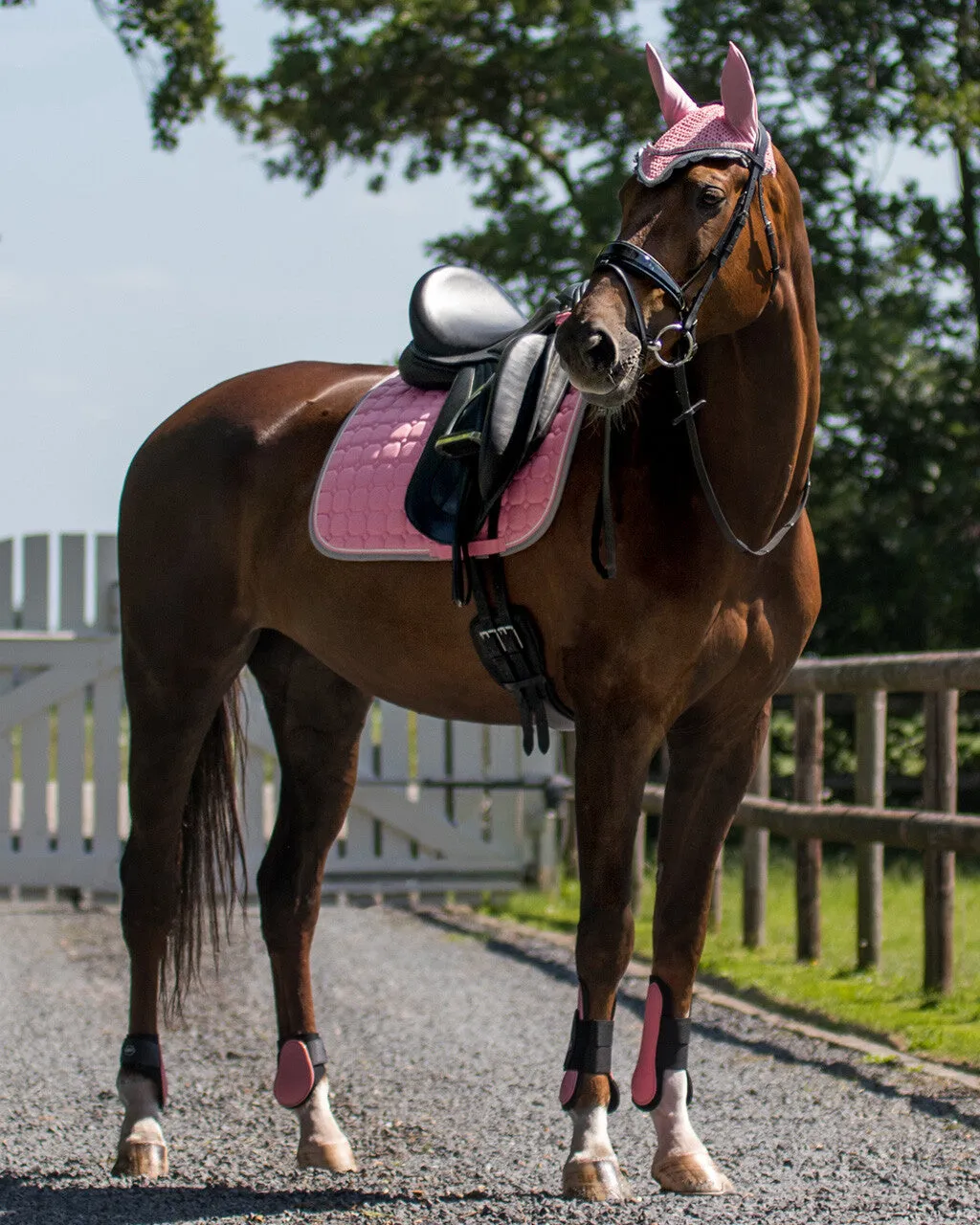 QHP Fetlock Boots