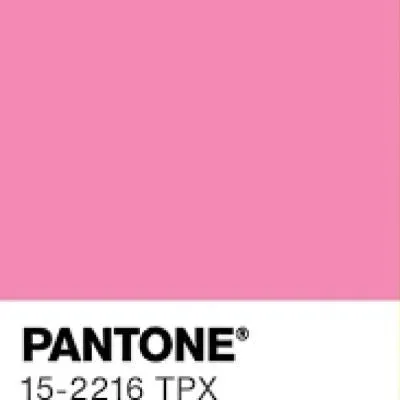 Sachet Pink Baggy Pants