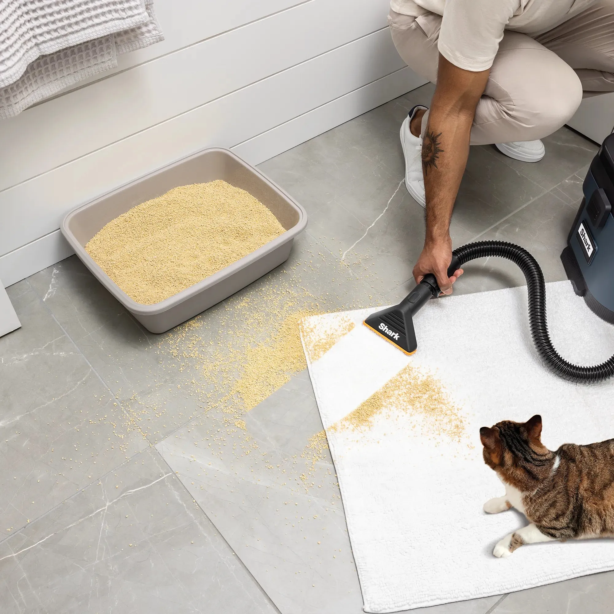 Shark MessMaster Portable Wet/Dry Vacuum