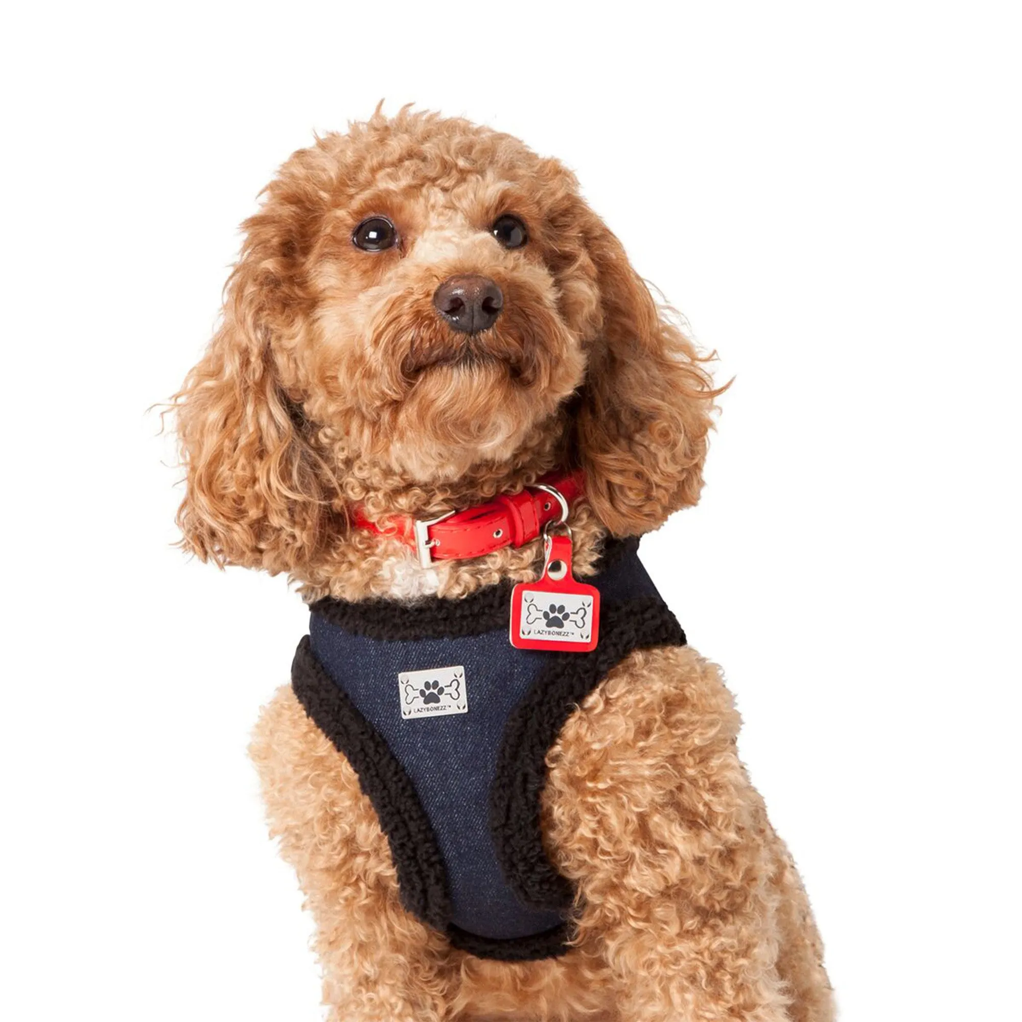Shearling Moto Dog Harness