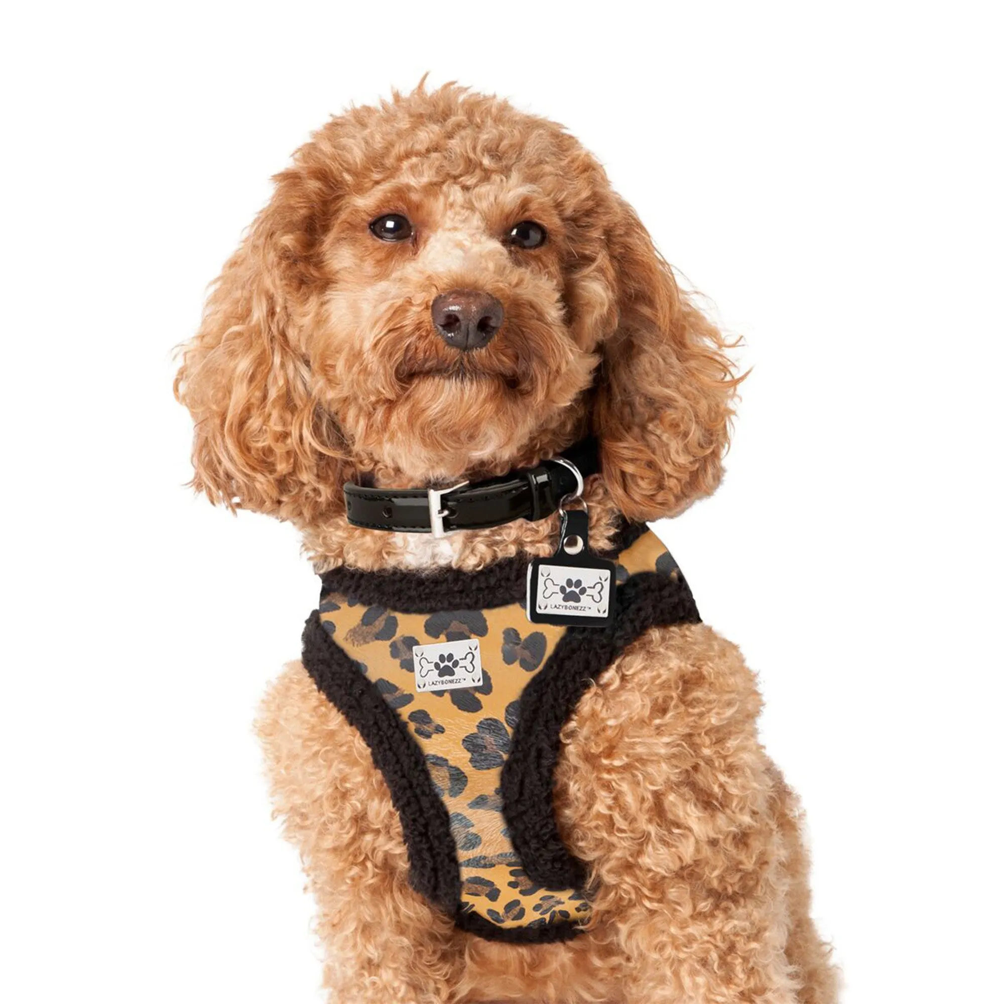 Shearling Moto Dog Harness