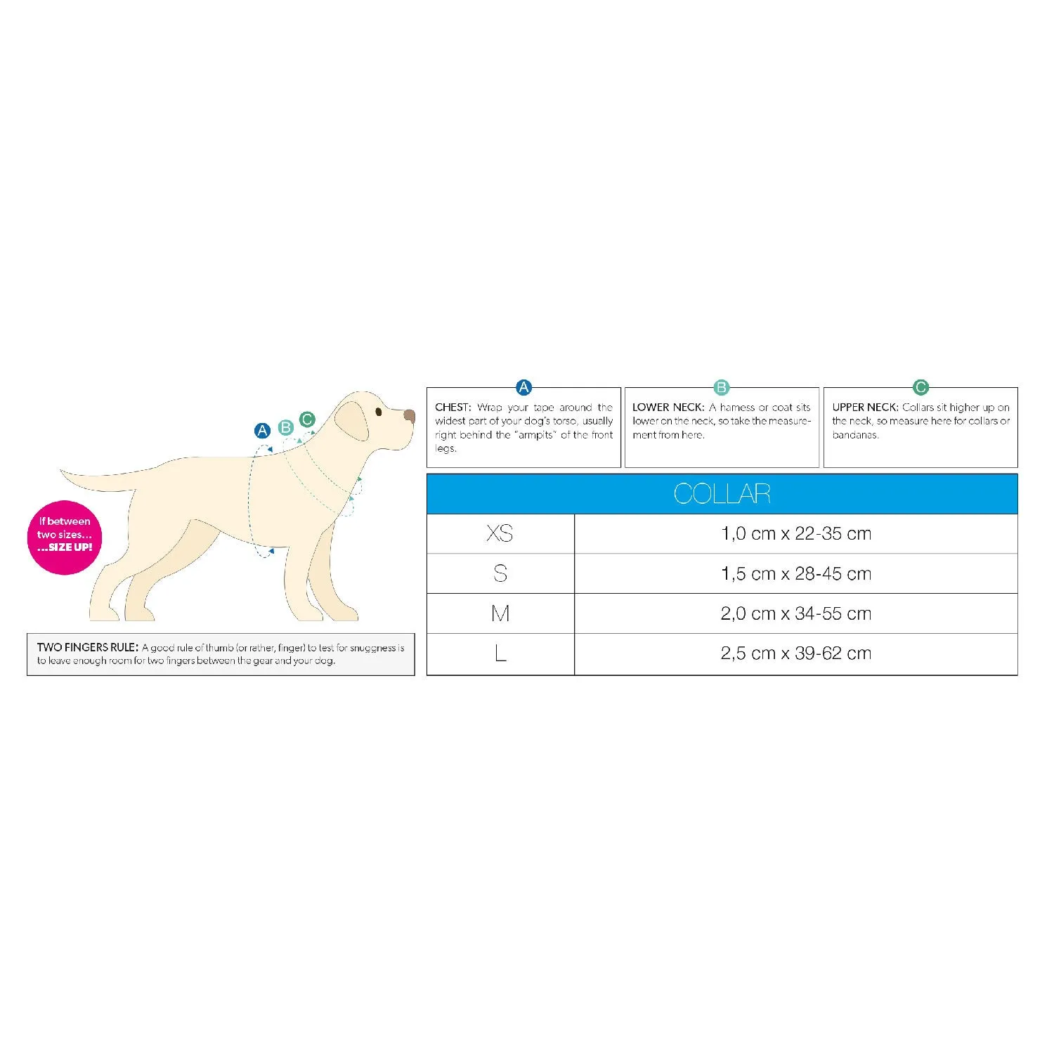 Smart ID Dog Collar - Cherry Bloom