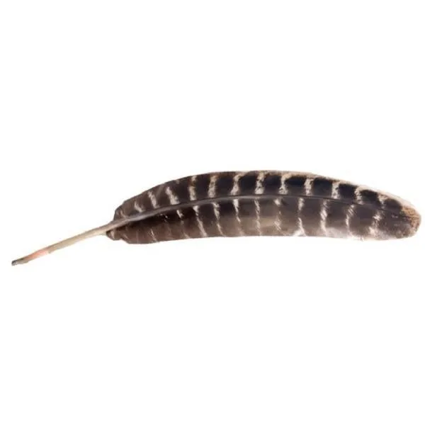 Smudge Feather
