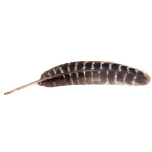 Smudge Feather