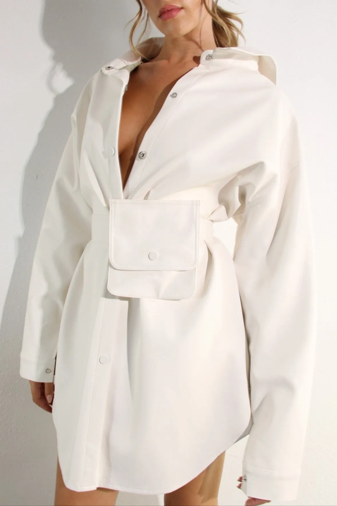 Snap Decision Dress