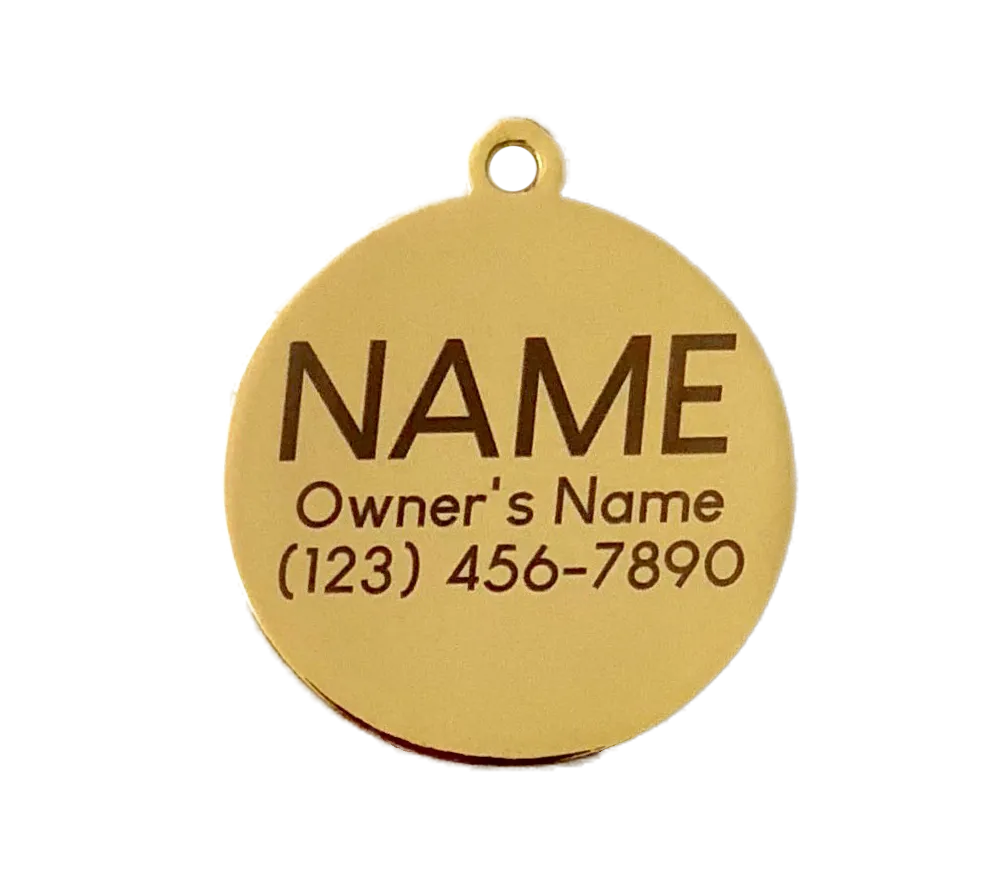 Treble Maker Pet ID Tag