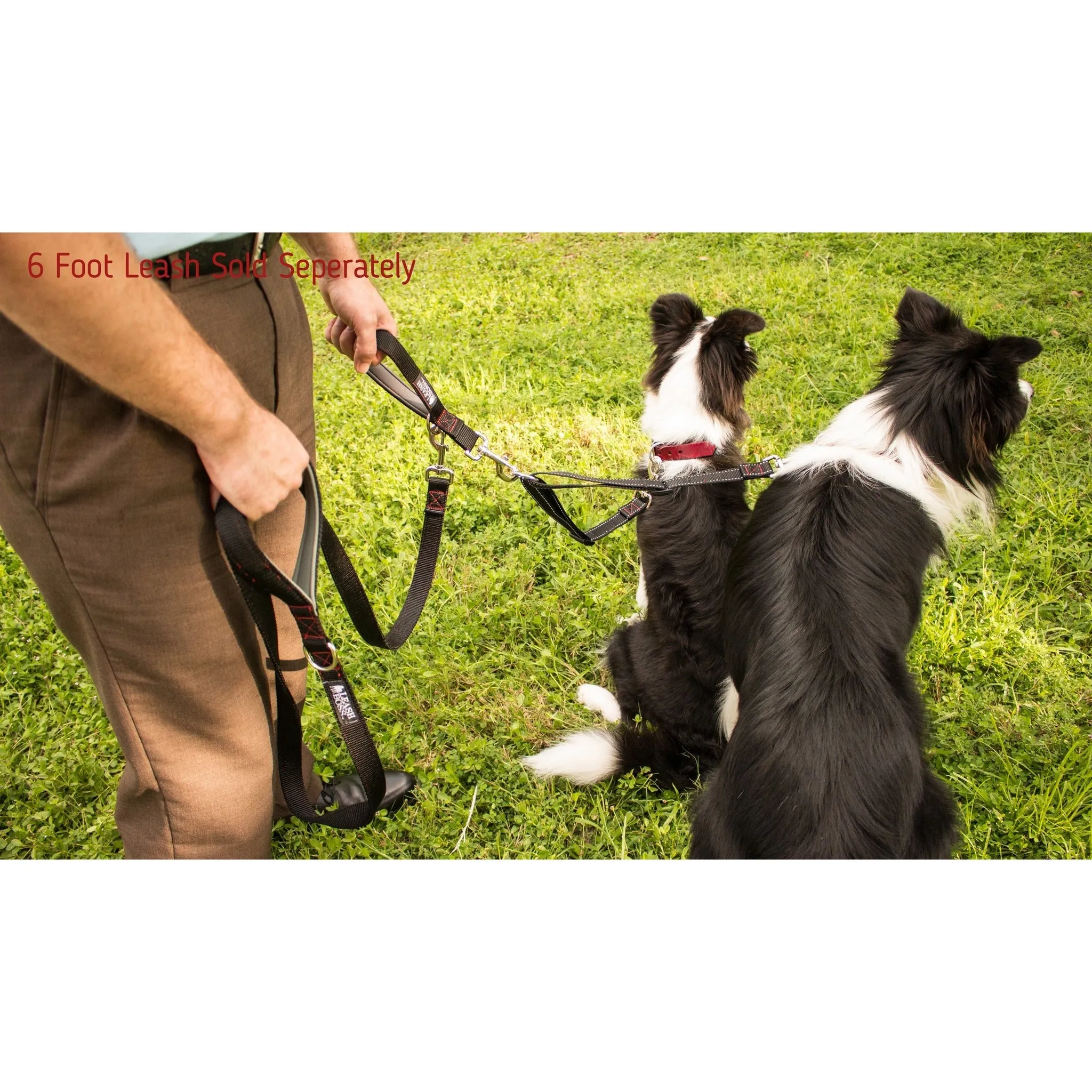 Two Dog Leash Coupler and Quick Grab 12 Inch Short Lead with Padded Handle