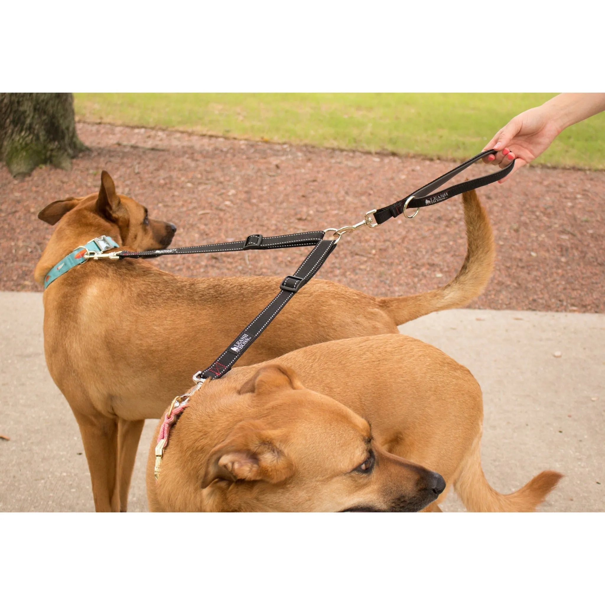 Two Dog Leash Coupler and Quick Grab 12 Inch Short Lead with Padded Handle