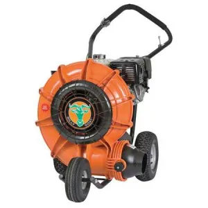Walk-Behind Blower